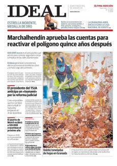 VEINTE TONELADAS DE HOJAS EN GRANADA