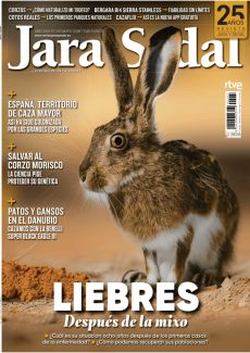 LIEBRES DESPUÉS DE LA MIXO