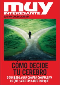 CÓMO DECIDE TU CEREBRO